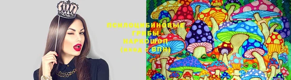 альфа пвп Протвино