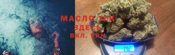 индика Щучье