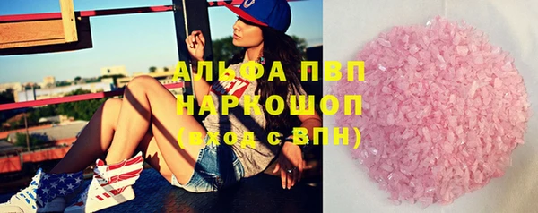 индика Чегем